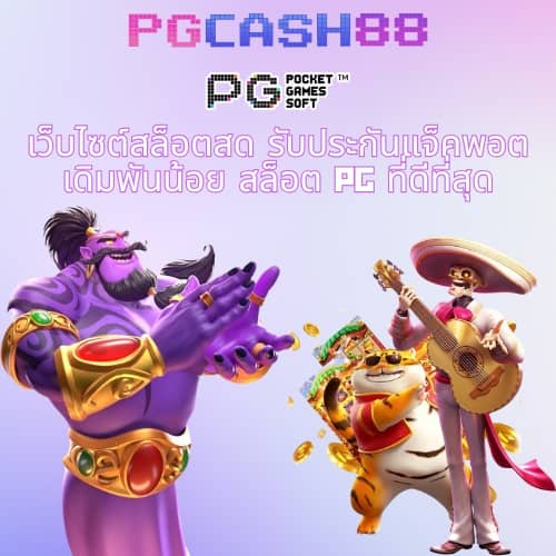 เว็บ ปั่นสล็อตฟรี